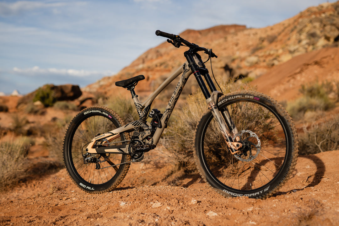 Kurt Sorge Custom Evil Insurgent LS for Red Bull Rampage